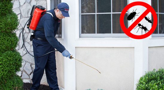 Gebze Karınca İlaçlama böcek ilaçlama ve haşere kontrolü — ilaclama-tr.com